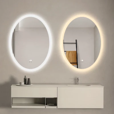 Specchio ovale illuminato da parete Specchio da bagno intelligente Recensione Luce LED attenuata